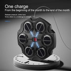 Wall Mounted Boxing Reaction Target – Kids & Adults Home Training Toy